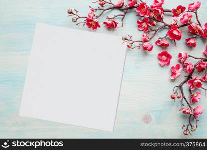 Spring background of painted blue board with branch of flowering cherry branch covered with pink flowers as a border, with white square blank paper sheet or canvas as place for text