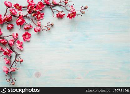 Spring background of painted blue board with branch of flowering cherry branch covered with pink flowers as a border