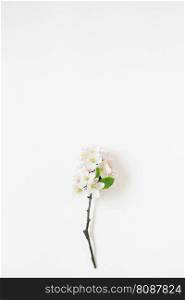 Spring background with branches of a blossoming apple tree on a white table with copy space