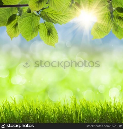 Spring background with grass, sun over blue sky