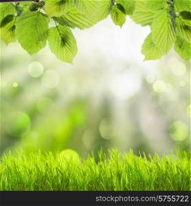 Spring background with green grass and leaves over defocused light