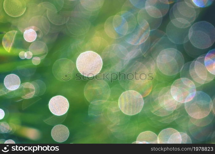 Spring. Beautiful natural background of green grass with dew and water drops. Seasonal concept - morning in nature.