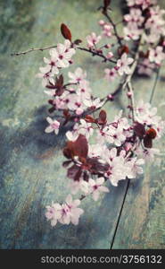 Spring blossom on rustic wooden table