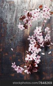 Spring blossom on rustic wooden table