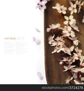 Spring Blossom over wooden background (with easy removable sample text)