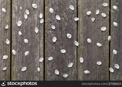 Spring blossom petals on wooden table background. Top view