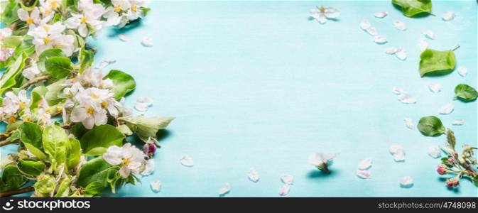 Spring blossom twigs on blue turquoise background, top view, banner. Springtime concept