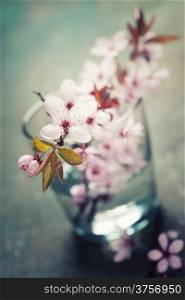 spring blossoms in glass vase on wooden surface