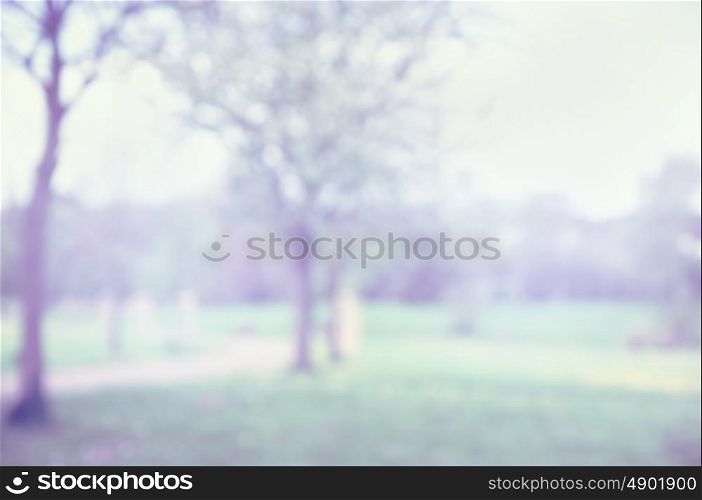 Spring blurred park, nature background, toned
