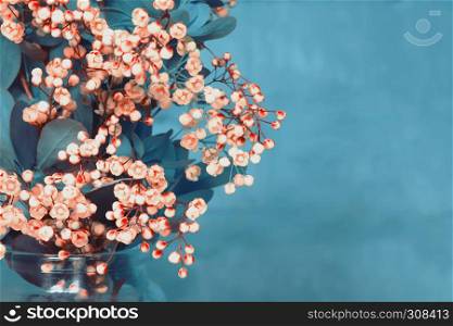 Spring bouquet of blossoming barberry on a blue background. Blurred, toned, space for copying.. Bouquet Of A Blossoming Barberry