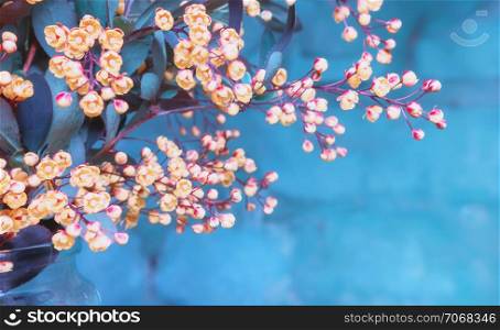 Spring bouquet of flowers blossoming barberry on a blue background. Blurred, toned, space for copying.. Flowers Of Blossoming Barberry