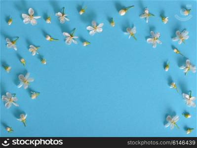 spring cherry flowers frame on blue background