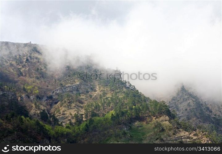 Spring cloudy view of slope of Aj-Petri Mount (trail Botanical, Crimea, Ukraine)