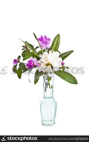 Spring combination of flowers on white background