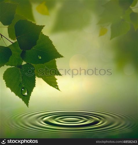 Spring coming, seasonal landscape with green foliage and rain drop
