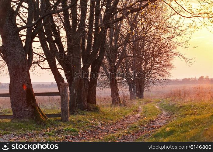 Spring countryside sunset. Old country road in the park