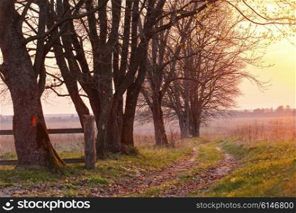 Spring countryside sunset. Old country road in the park
