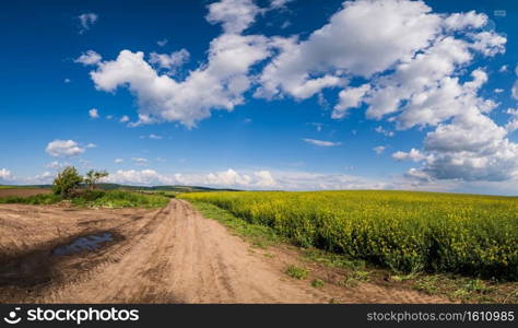 Spring countryside view with dirty road, rapeseed yellow blooming fields, village, hills. Ukraine, Lviv Region.