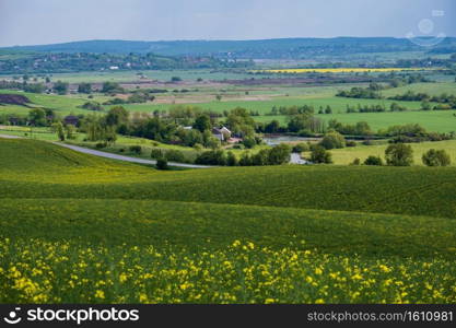 Spring countryside view with road, rapeseed yellow blooming fields, village, hills. Ukraine, Lviv Region.