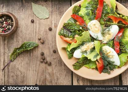 Spring diet salad with greens and egg.Salad with egg,sorrel and pepper. Healthy green salad