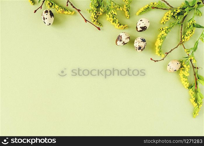 Spring easter floral border. Natural tree branches, yellow flowers and quail eggs on green background with copy space. Creative Flat lay Top view Template for your design.. Spring easter floral border. Natural tree branches, yellow flowers and quail eggs on green background with copy space. Creative Flat lay Top view Template for your design