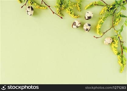 Spring easter floral border. Natural tree branches, yellow flowers and quail eggs on green background with copy space. Creative Flat lay Top view Template for your design.. Spring easter floral border. Natural tree branches, yellow flowers and quail eggs on green background with copy space. Creative Flat lay Top view Template for your design