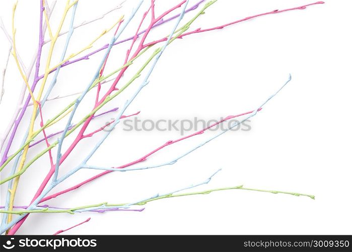 Spring, easter, pastel, colorful twigs isolated on white background. Copy space. Top view