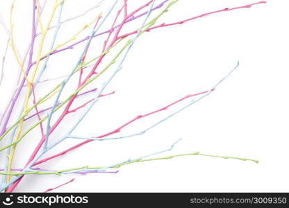 Spring, easter, pastel, colorful twigs isolated on white background. Copy space. Top view