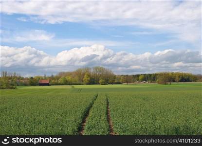 Spring Farming In Germany And European Agricultural Industry