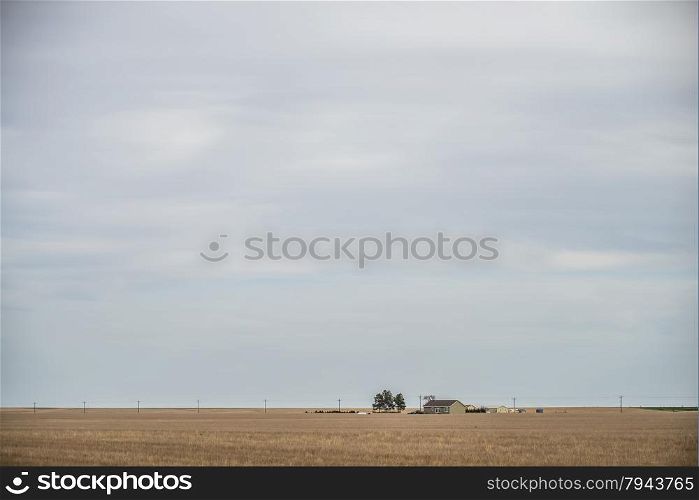 spring farmland before sunset on a cloudy day