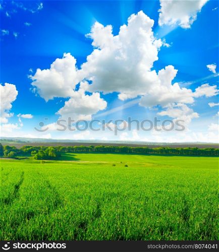 spring field and beautiful blue sky