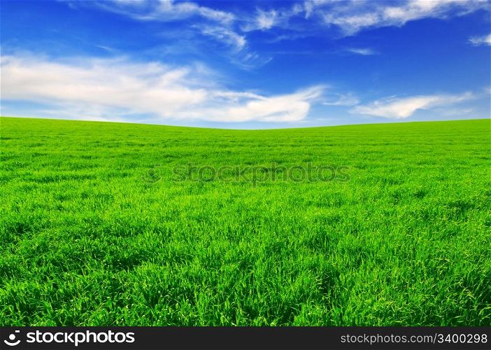 spring field and blue sky