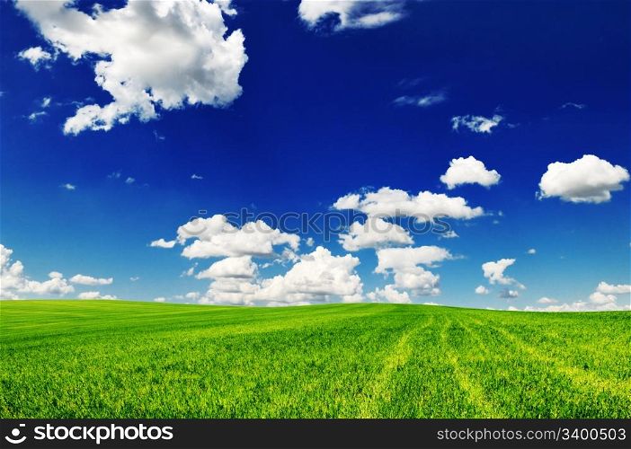 spring field and the blue sky
