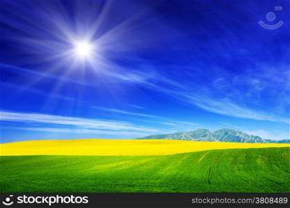 Spring field of fresh green grass and yellow flowers, rape. Blue sunny sky. Landscape background theme