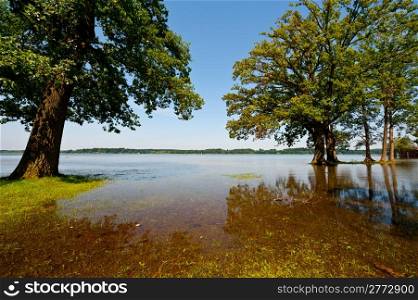 Spring Flooding of the Lake Simssee in Bavaria, Germany
