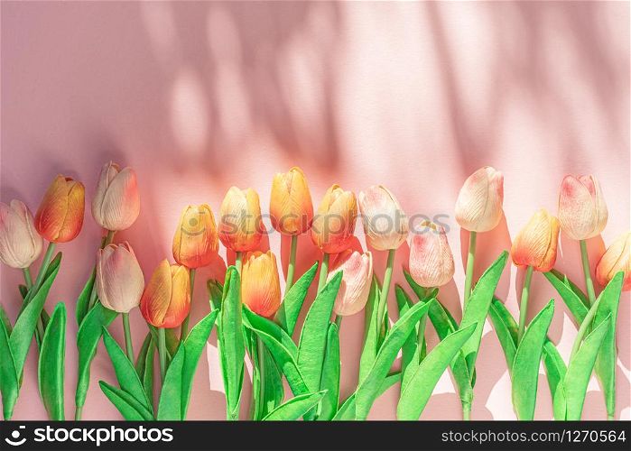 Spring floral background, greeting card, tulips