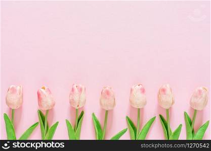Spring floral background with tulips, greeting card, top view