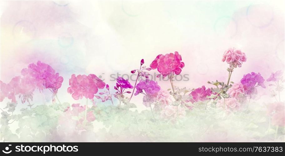 Spring floral composition made with colorful flowers on light pastel background. Geranium flowers.