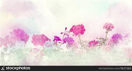 Spring floral composition made with colorful flowers on light pastel background. Geranium flowers.