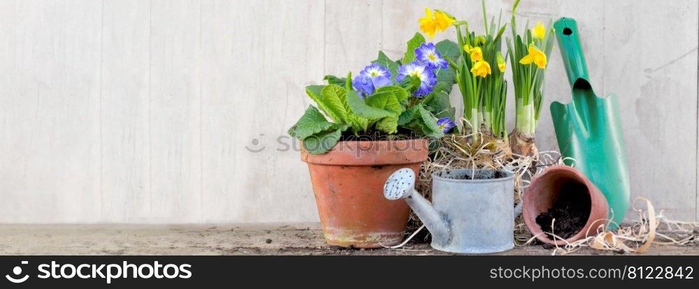 spring flower pots and gardening equipment on wooden background 