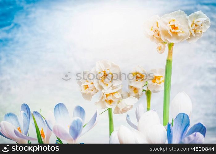 Spring flowers blooming at sky background, floral natue, springtime