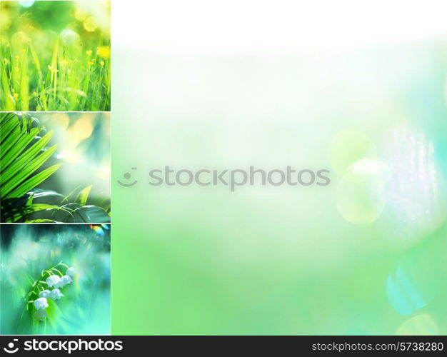 Spring flowers collage