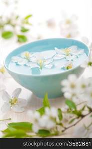 spring flowers for spa and aromatherapy