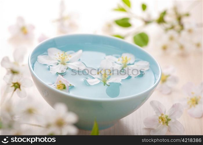 spring flowers for spa and aromatherapy