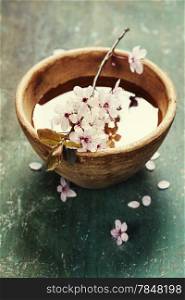spring flowers for spa and aromatherapy over wooden background
