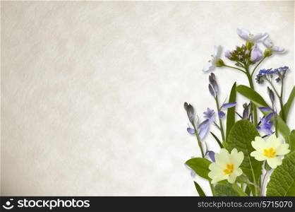 Spring flowers including bluebell and primrose on parchment paper background.