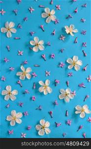 Spring flowers on paper background
