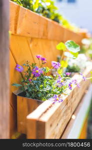 Spring flowers on self-made wooden flower box, euro palette