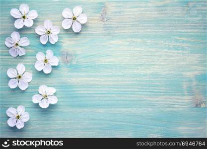 Spring flowers on wooden background. Spring blossom. Copy space. Top view