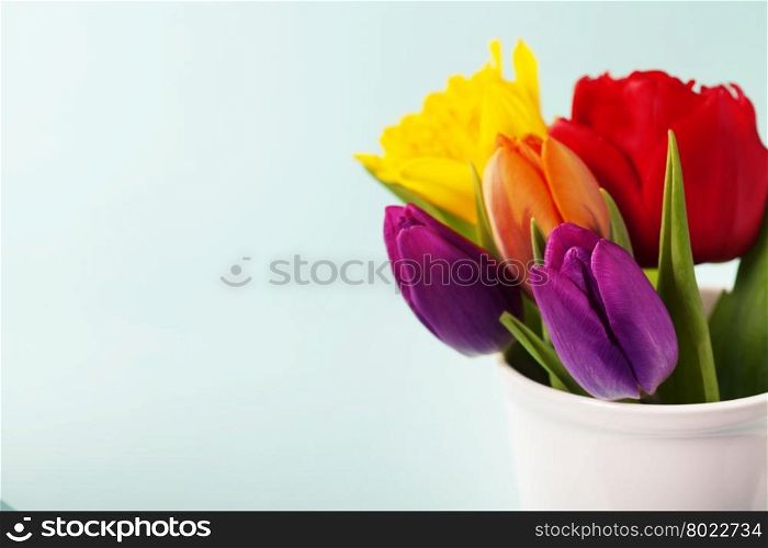 Spring flowers over blue background
